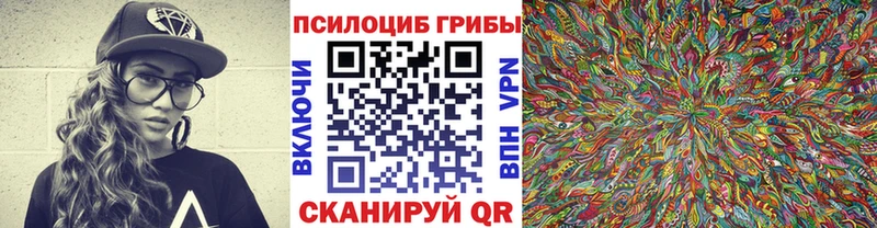 Псилоцибиновые грибы Cubensis Чехов